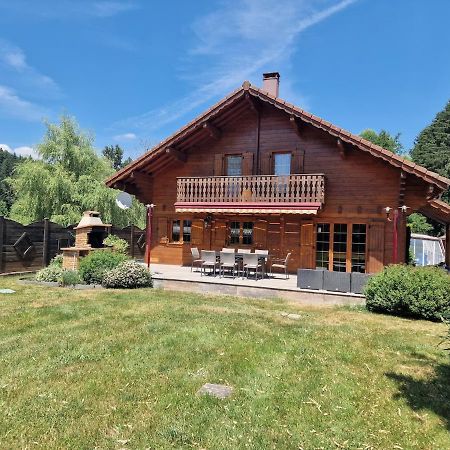 Chalet Matteo Ban-de-Laveline Bagian luar foto