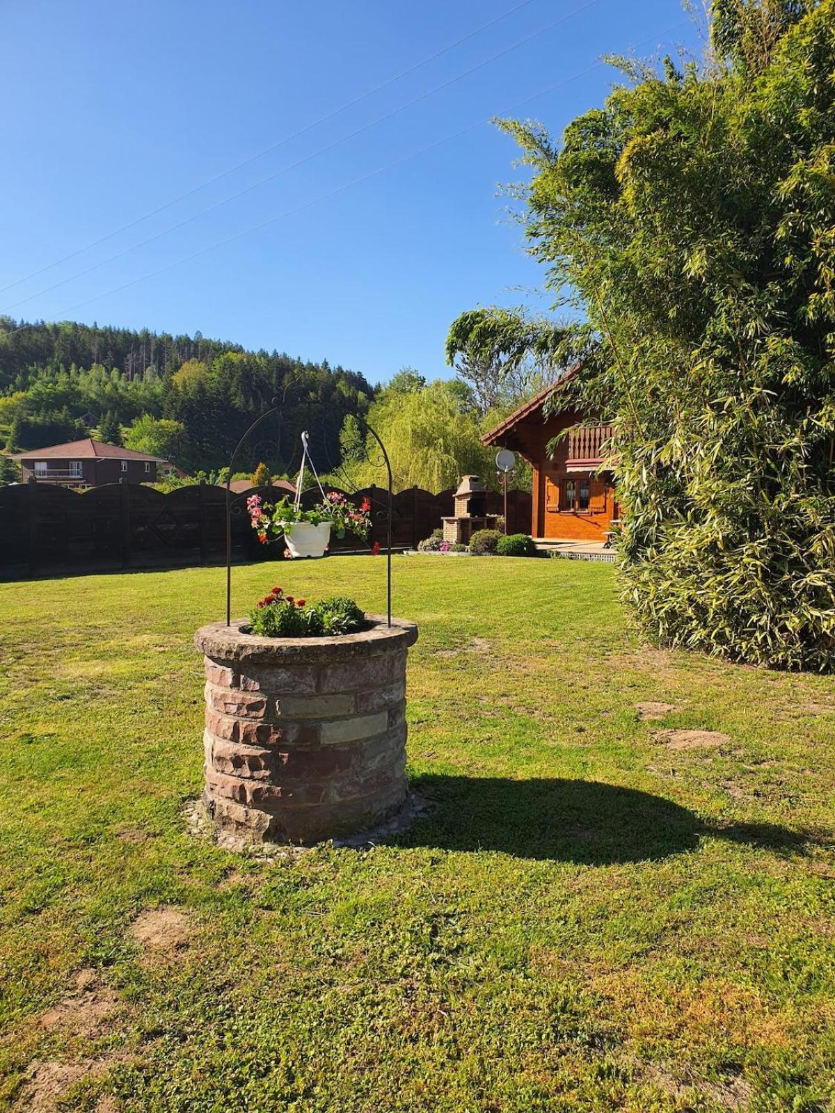 Chalet Matteo Ban-de-Laveline Bagian luar foto